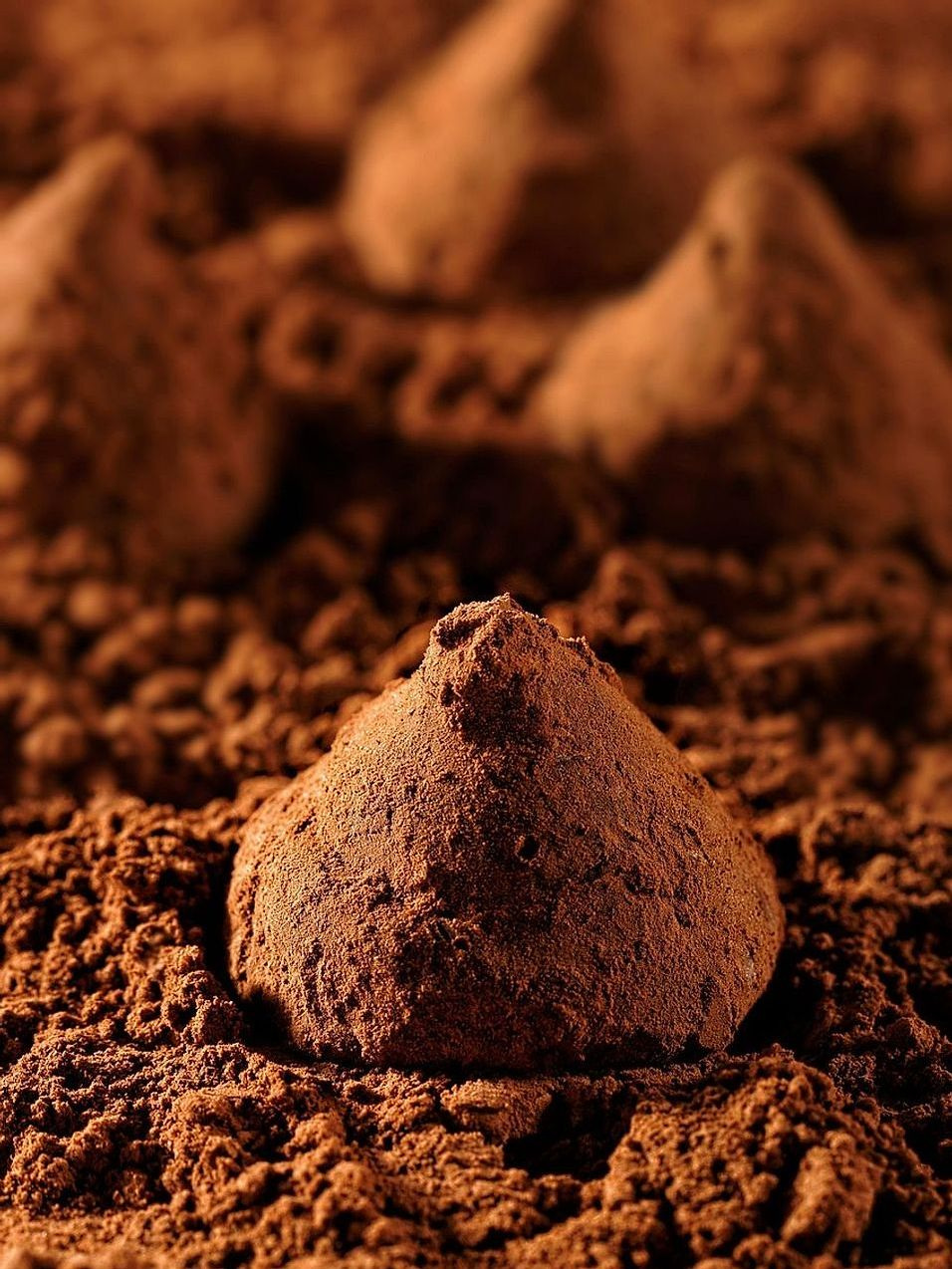 The Classics